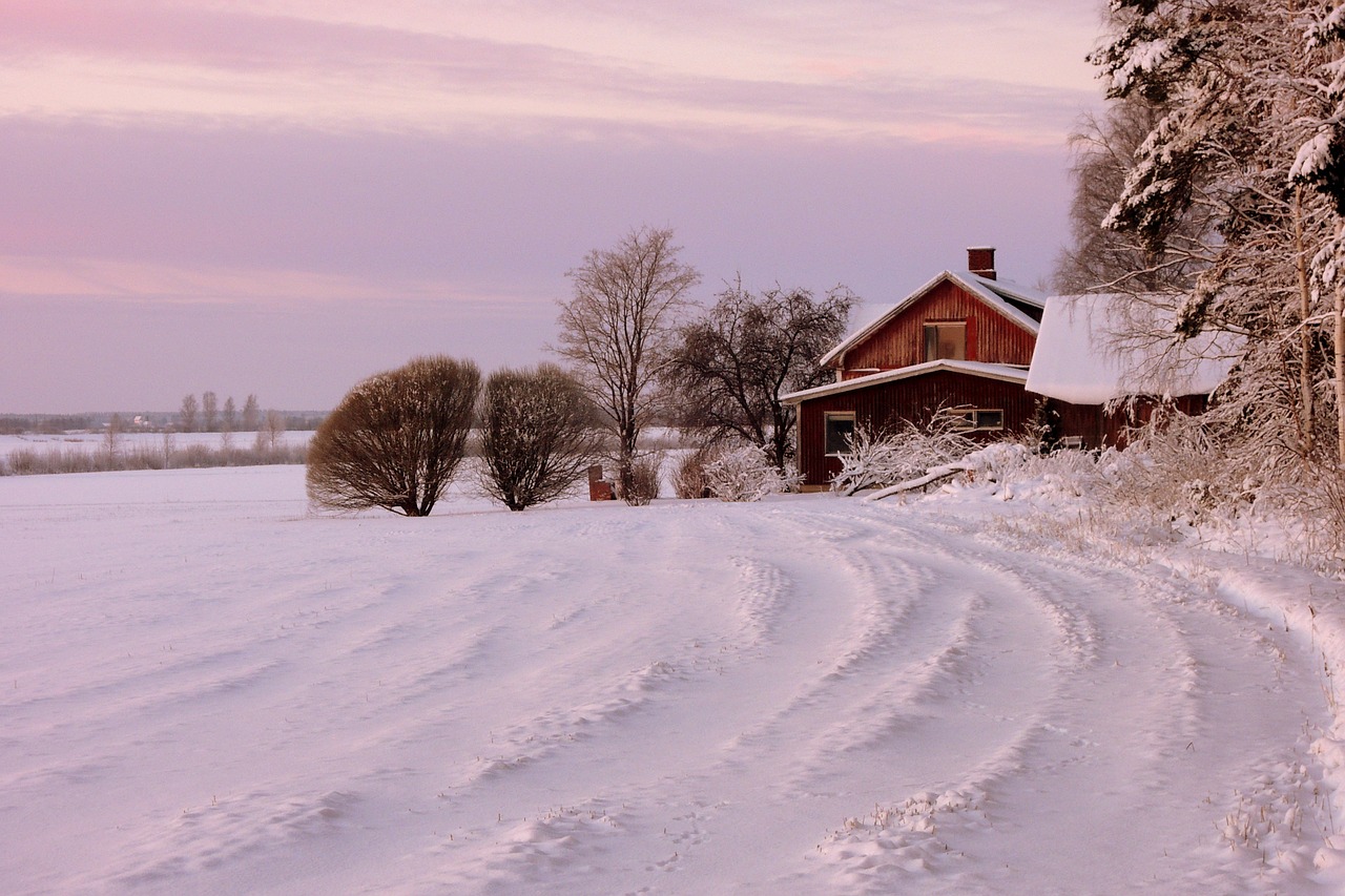 Undgå dyre skader: Sådan klargør du dit hus til vinter